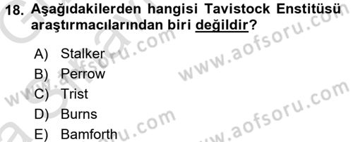 Çalışma Sosyolojisi Dersi 2016 - 2017 Yılı (Vize) Ara Sınav Soruları 18. Soru