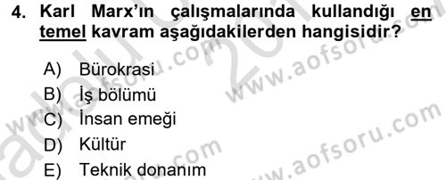 Çalışma Sosyolojisi Dersi Ara Sınavı Deneme Sınav Soruları 4. Soru