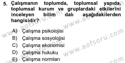 Çalışma Sosyolojisi Dersi Ara Sınavı Deneme Sınav Soruları 5. Soru