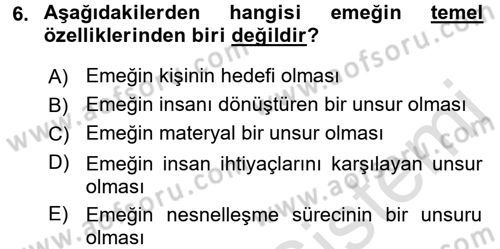 Çalışma Sosyolojisi Dersi 2016 - 2017 Yılı (Vize) Ara Sınav Soruları 6. Soru