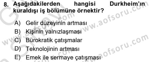 Çalışma Sosyolojisi Dersi 2016 - 2017 Yılı (Vize) Ara Sınav Soruları 8. Soru