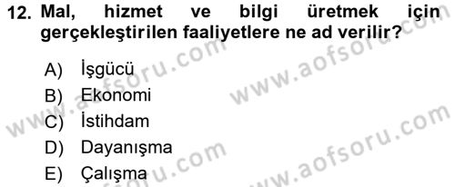 Çalışma Sosyolojisi Dersi 2016 - 2017 Yılı (Final) Dönem Sonu Sınavı 12. Soru