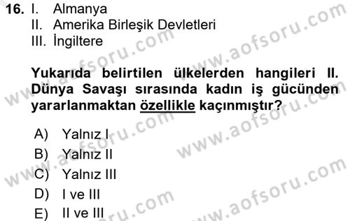 Çalışma Sosyolojisi Dersi 2016 - 2017 Yılı (Final) Dönem Sonu Sınavı 16. Soru