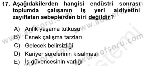 Çalışma Sosyolojisi Dersi 2016 - 2017 Yılı (Final) Dönem Sonu Sınavı 17. Soru