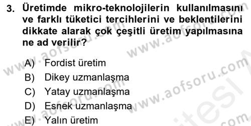 Çalışma Sosyolojisi Dersi 2016 - 2017 Yılı (Final) Dönem Sonu Sınavı 3. Soru