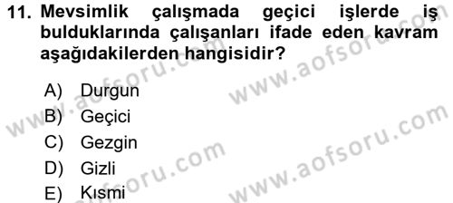 Çalışma Sosyolojisi Dersi 2017 - 2018 Yılı 3 Ders Sınavı 11. Soru