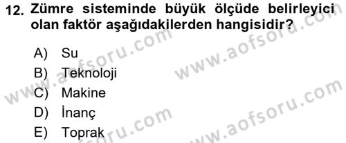 Çalışma Sosyolojisi Dersi 2017 - 2018 Yılı 3 Ders Sınavı 12. Soru