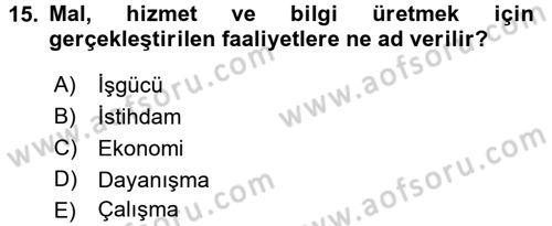 Çalışma Sosyolojisi Dersi 2017 - 2018 Yılı 3 Ders Sınavı 15. Soru