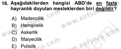 Çalışma Sosyolojisi Dersi 2017 - 2018 Yılı 3 Ders Sınavı 16. Soru