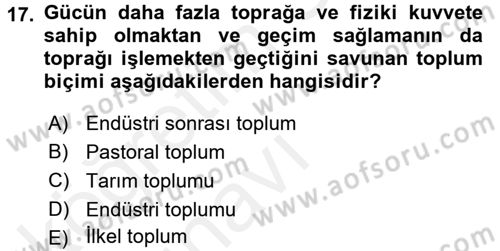 Çalışma Sosyolojisi Dersi 2017 - 2018 Yılı 3 Ders Sınavı 17. Soru