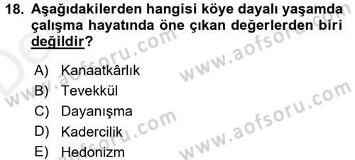 Çalışma Sosyolojisi Dersi 2017 - 2018 Yılı 3 Ders Sınavı 18. Soru