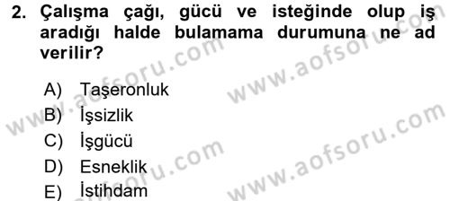 Çalışma Sosyolojisi Dersi 2017 - 2018 Yılı 3 Ders Sınavı 2. Soru