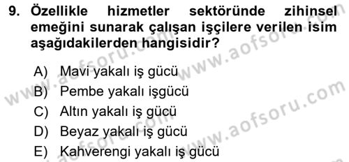 Çalışma Sosyolojisi Dersi 2017 - 2018 Yılı 3 Ders Sınavı 9. Soru