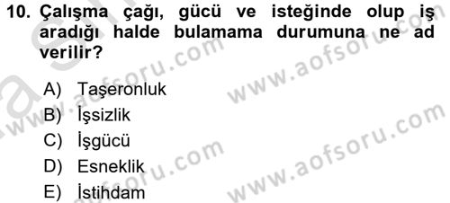 Çalışma Sosyolojisi Dersi 2017 - 2018 Yılı (Vize) Ara Sınav Soruları 10. Soru