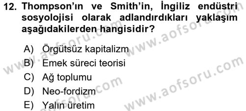 Çalışma Sosyolojisi Dersi 2017 - 2018 Yılı (Vize) Ara Sınav Soruları 12. Soru