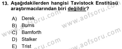 Çalışma Sosyolojisi Dersi 2017 - 2018 Yılı (Vize) Ara Sınav Soruları 13. Soru