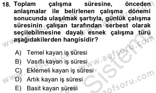 Çalışma Sosyolojisi Dersi 2017 - 2018 Yılı (Vize) Ara Sınav Soruları 18. Soru