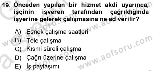 Çalışma Sosyolojisi Dersi 2017 - 2018 Yılı (Vize) Ara Sınav Soruları 19. Soru