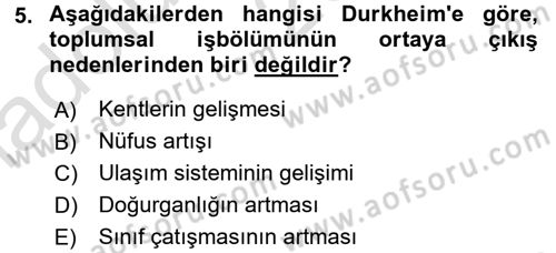 Çalışma Sosyolojisi Dersi 2017 - 2018 Yılı (Vize) Ara Sınav Soruları 5. Soru