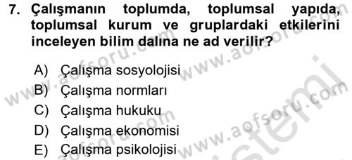 Çalışma Sosyolojisi Dersi 2017 - 2018 Yılı (Vize) Ara Sınav Soruları 7. Soru