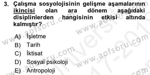 Çalışma Sosyolojisi Dersi 2017 - 2018 Yılı (Final) Dönem Sonu Sınavı 3. Soru