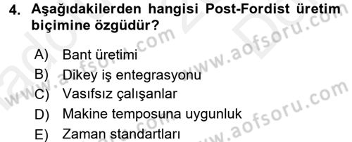 Çalışma Sosyolojisi Dersi 2017 - 2018 Yılı (Final) Dönem Sonu Sınavı 4. Soru