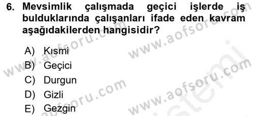 Çalışma Sosyolojisi Dersi 2017 - 2018 Yılı (Final) Dönem Sonu Sınavı 6. Soru