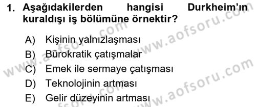 Çalışma Sosyolojisi Dersi 2018 - 2019 Yılı 3 Ders Sınavı 1. Soru