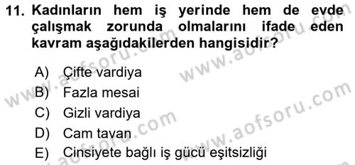 Çalışma Sosyolojisi Dersi 2018 - 2019 Yılı 3 Ders Sınavı 11. Soru