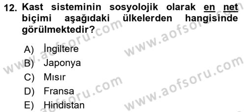 Çalışma Sosyolojisi Dersi 2018 - 2019 Yılı 3 Ders Sınavı 12. Soru