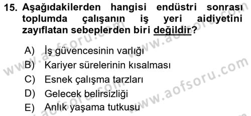 Çalışma Sosyolojisi Dersi 2018 - 2019 Yılı 3 Ders Sınavı 15. Soru