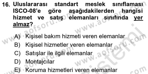 Çalışma Sosyolojisi Dersi 2018 - 2019 Yılı 3 Ders Sınavı 16. Soru