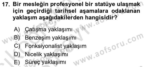 Çalışma Sosyolojisi Dersi 2018 - 2019 Yılı 3 Ders Sınavı 17. Soru