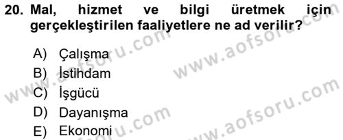 Çalışma Sosyolojisi Dersi 2018 - 2019 Yılı 3 Ders Sınavı 20. Soru