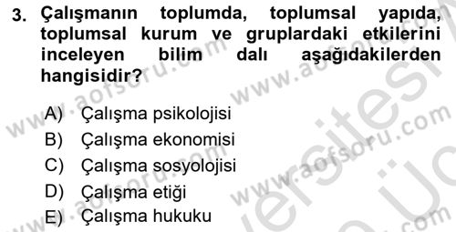 Çalışma Sosyolojisi Dersi 2018 - 2019 Yılı 3 Ders Sınavı 3. Soru