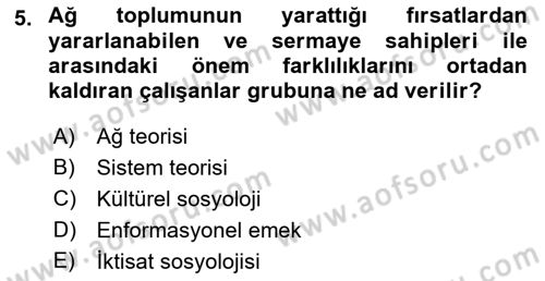 Çalışma Sosyolojisi Dersi 2018 - 2019 Yılı 3 Ders Sınavı 5. Soru