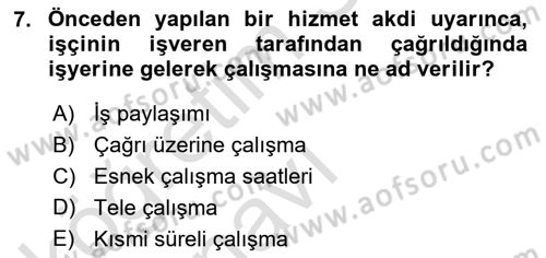 Çalışma Sosyolojisi Dersi 2018 - 2019 Yılı 3 Ders Sınavı 7. Soru