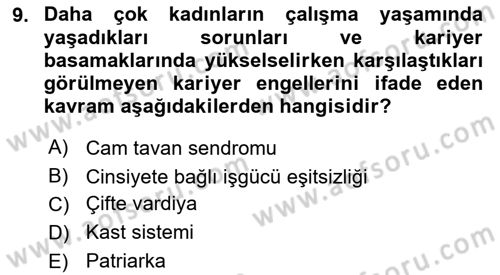 Çalışma Sosyolojisi Dersi 2018 - 2019 Yılı 3 Ders Sınavı 9. Soru