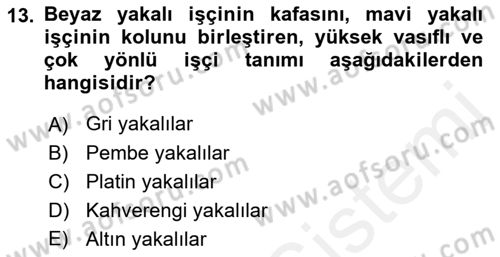 Çalışma Sosyolojisi Dersi Ara Sınavı Deneme Sınav Soruları 13. Soru