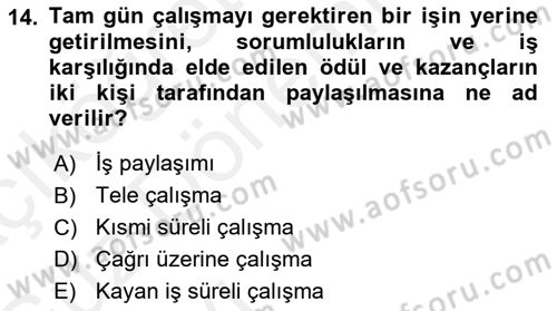Çalışma Sosyolojisi Dersi 2018 - 2019 Yılı (Vize) Ara Sınav Soruları 14. Soru