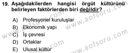 Çalışma Sosyolojisi Dersi 2018 - 2019 Yılı (Vize) Ara Sınav Soruları 19. Soru