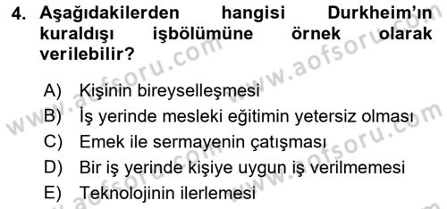 Çalışma Sosyolojisi Dersi Ara Sınavı Deneme Sınav Soruları 4. Soru
