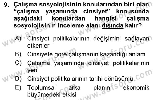 Çalışma Sosyolojisi Dersi 2018 - 2019 Yılı (Vize) Ara Sınav Soruları 9. Soru