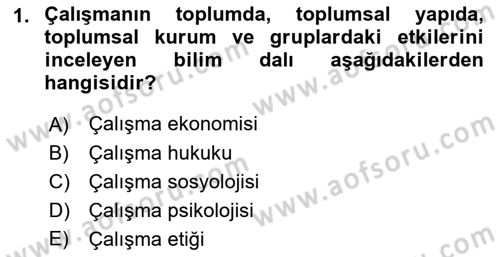 Çalışma Sosyolojisi Dersi 2018 - 2019 Yılı (Final) Dönem Sonu Sınavı 1. Soru