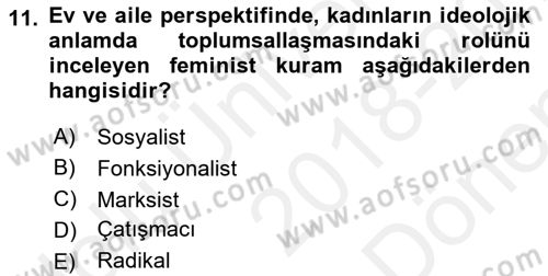 Çalışma Sosyolojisi Dersi 2018 - 2019 Yılı (Final) Dönem Sonu Sınavı 11. Soru