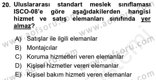 Çalışma Sosyolojisi Dersi 2018 - 2019 Yılı (Final) Dönem Sonu Sınavı 20. Soru