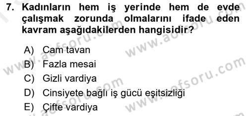 Çalışma Sosyolojisi Dersi 2018 - 2019 Yılı (Final) Dönem Sonu Sınavı 7. Soru