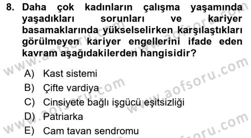 Çalışma Sosyolojisi Dersi 2018 - 2019 Yılı (Final) Dönem Sonu Sınavı 8. Soru