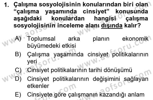 Çalışma Sosyolojisi Dersi 2018 - 2019 Yılı Yaz Okulu Sınav Soruları 1. Soru