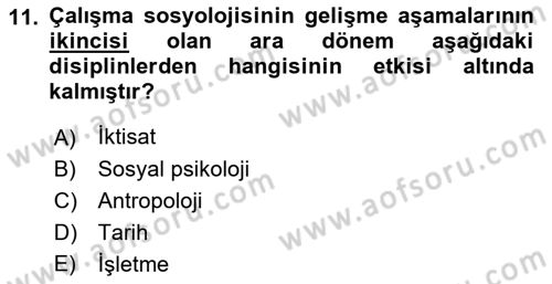 Çalışma Sosyolojisi Dersi 2018 - 2019 Yılı Yaz Okulu Sınavı 11. Soru